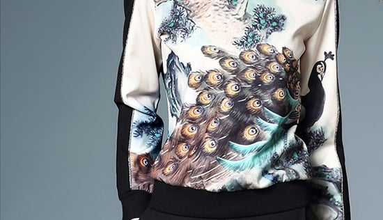 printing sweatshirt